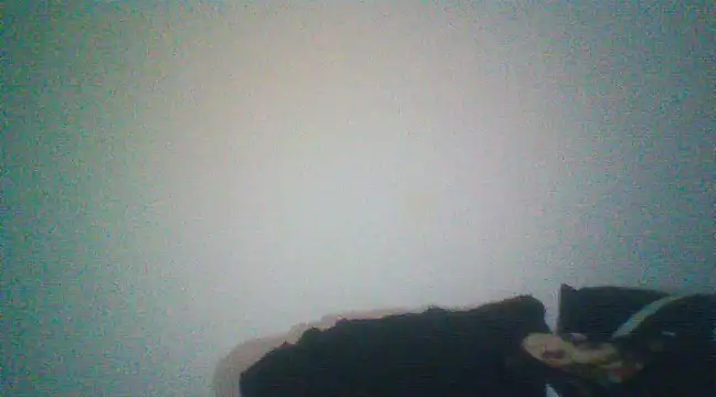 Otravidacol online show from February 2025 01:46:02 AM