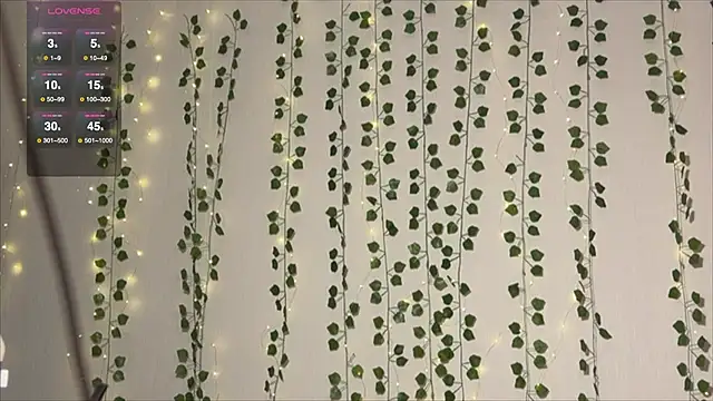 Asian Vi online show from October 2025 11:38:02 AM