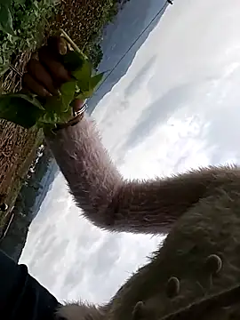 Snapshot of hebe-02 chatting on October 2025 05:24:01 AM hebe-02 online show from October 2025 05:24:01 AM