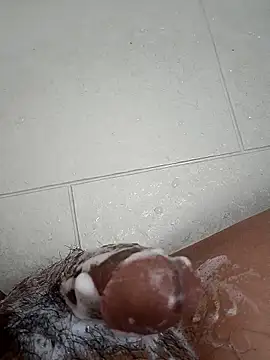 Tyaniks online show from September 2025 10:53:02 AM