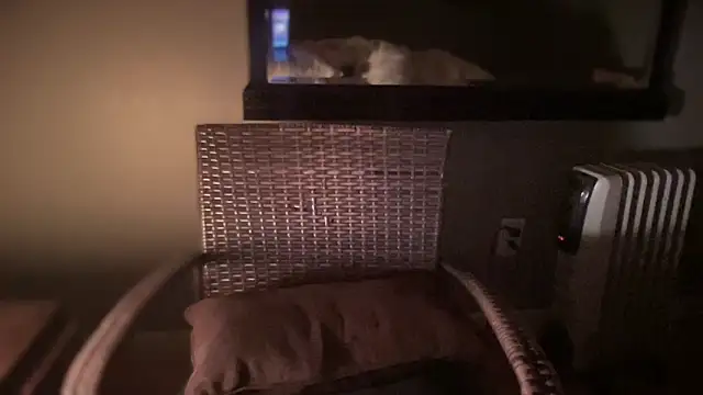 Snapshot of DominantDong chatting on February 2025 11:25:01 AM DominantDong online show from February 2025 11:25:01 AM