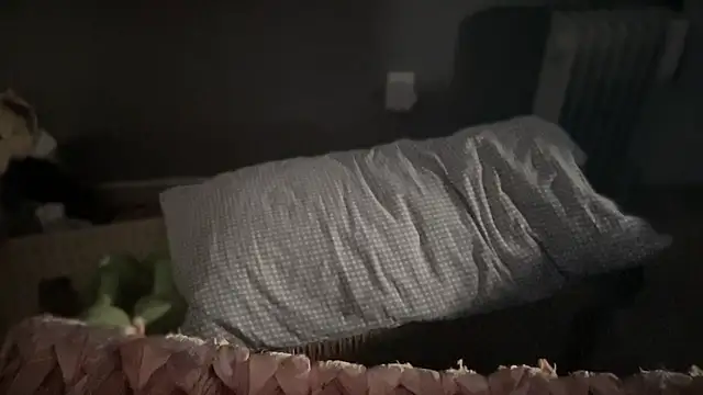 Snapshot of DominantDong chatting on March 2025 11:56:02 PM DominantDong online show from March 2025 11:56:02 PM