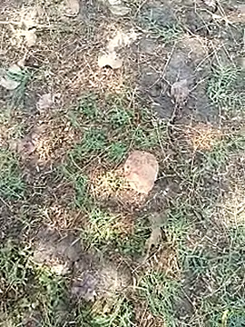 bairobunde online show from April 2026 08:11:01 AM