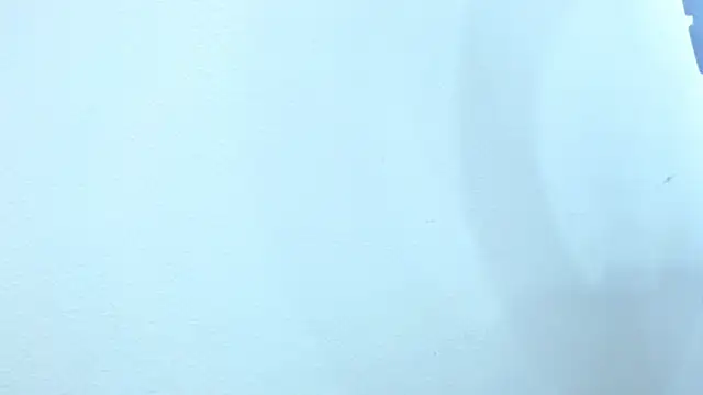 sebastian colle online show from February 2025 12:03:02 PM