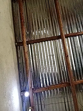 Snapshot of lilpip chatting on October 2025 11:44:02 AM lilpip online show from October 2025 11:44:02 AM