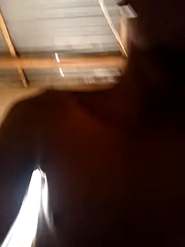 lilpip online show from February 2026 09:08:02 AM