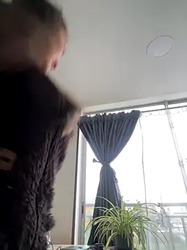 Luna kitty online show from November 2025 11:49:01 AM