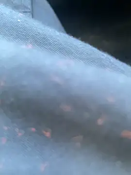 daniel21p online show from February 2025 03:25:02 PM