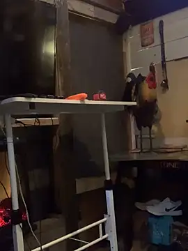 Polaroid White online show from March 2025 06:41:01 AM