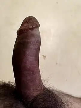 alkhabiir online show from February 2026 03:31:01 PM