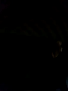 black77SL online show from December 2025 01:18:01 PM