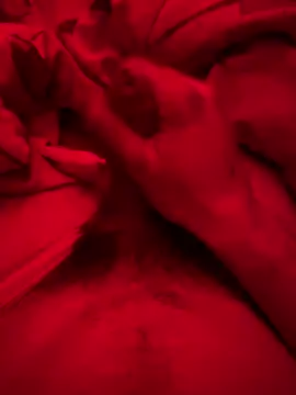 Snapshot of ruchacz24 chatting on March 2025 02:51:02 AM ruchacz24 online show from March 2025 02:51:02 AM