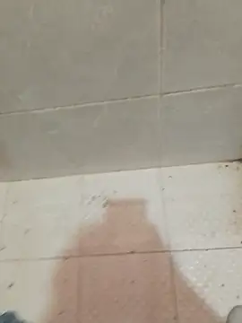 enoc369 online show from April 2026 05:04:02 PM