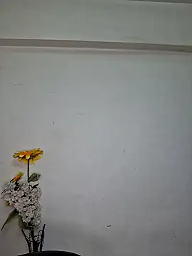 Noor-Bold online show from November 2025 02:00:01 AM