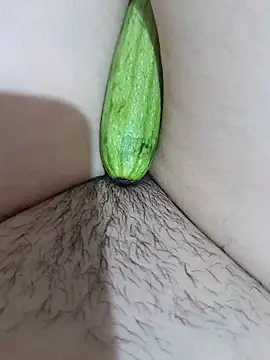 yakot7 online show from February 2026 11:06:01 PM