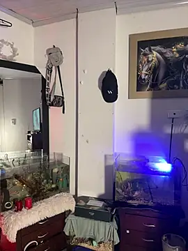 CRAZY-BOY99 online show from January 2026 07:57:02 AM