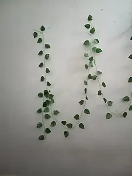 Neha-Bhabhi-Rasily online show from February 2026 04:42:02 AM