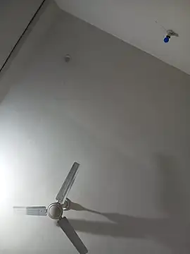 Neha-Bhabhi-Rasily online show from April 2026 08:26:01 PM