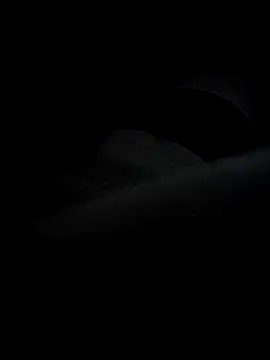 waldik083 online show from December 2025 12:20:02 AM