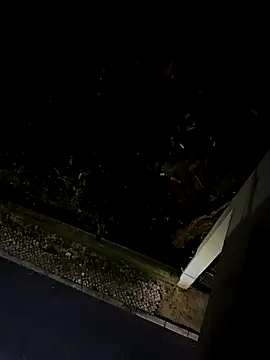 Snapshot of BUTTerflyTODAY chatting on April 2026 01:52:02 AM BUTTerflyTODAY online show from April 2026 01:52:02 AM