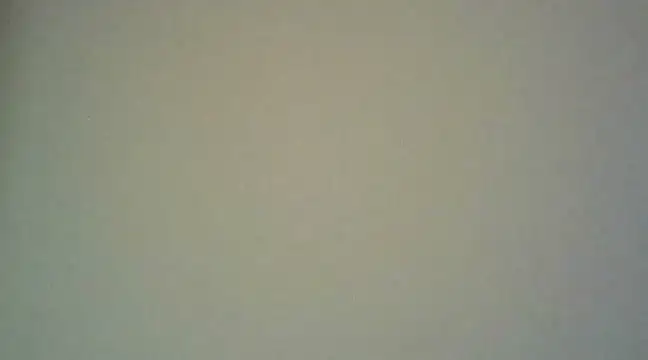 Snapshot of Enoch981 chatting on March 2025 09:03:02 PM Enoch981 online show from March 2025 09:03:02 PM