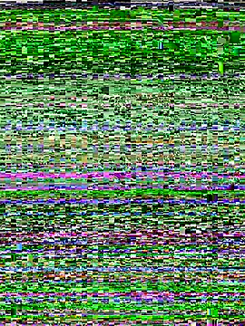 RightFielder online show from November 2025 03:01:02 PM