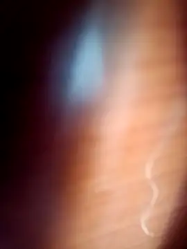 gordiricosv online show from February 2026 09:44:01 PM