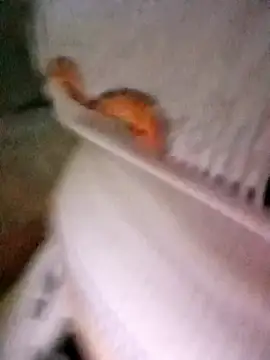 Snapshot of patrona_sexooo chatting on October 2025 12:58:01 PM patrona sexooo online show from October 2025 12:58:01 PM