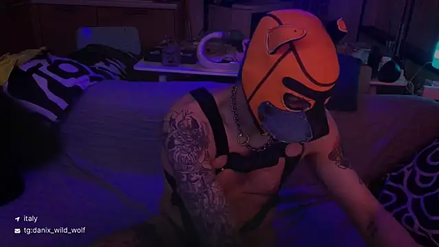 danix wild wolf online show from March 2026 10:49:02 PM