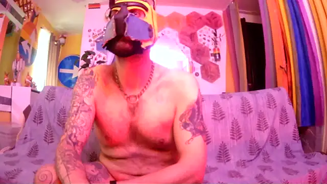 danix wild wolf online show from May 2026 10:54:01 AM