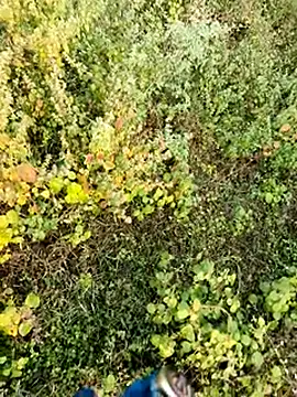 himvilohi08 online show from December 2025 02:43:02 AM