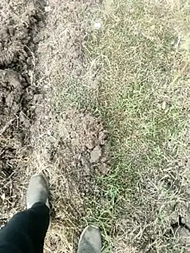 himvilohi08 online show from January 2026 04:05:02 AM