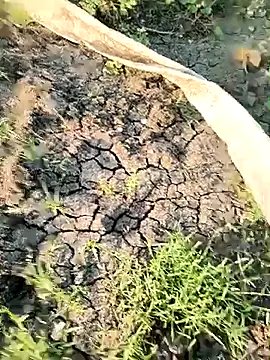 himvilohi08 online show from March 2026 12:32:01 PM