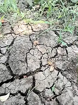 himvilohi08 online show from April 2026 05:08:02 AM