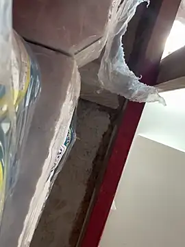 Snapshot of wainer02 chatting on March 2025 01:12:01 PM wainer02 online show from March 2025 01:12:01 PM