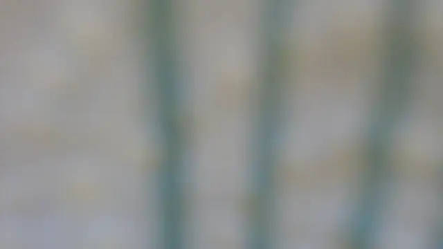 Snapshot of RobertaFox69 chatting on December 2024 04:49:01 PM RobertaFox69 online show from December 2024 04:49:01 PM