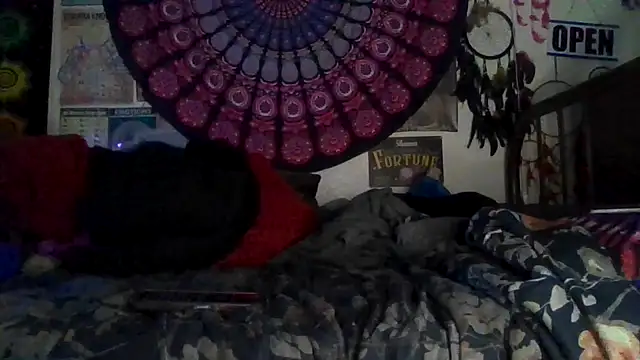 GardeniaFields online show from February 2026 08:40:01 AM