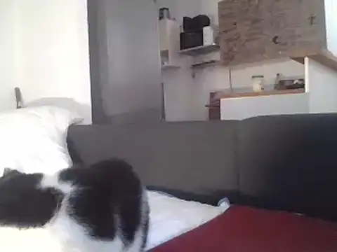 Snapshot of ThePython666 chatting on March 2025 07:25:02 AM ThePython666 online show from March 2025 07:25:02 AM