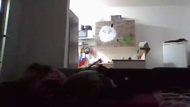 Snapshot of ThePython666 chatting on November 2025 05:08:01 PM ThePython666 online show from November 2025 05:08:01 PM