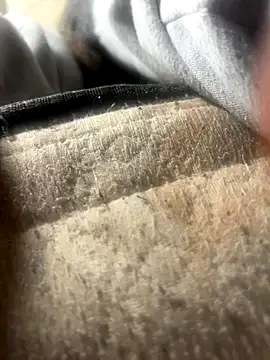 tttttyta online show from November 2025 09:13:02 PM