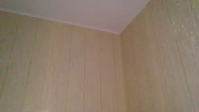 Snapshot of _Black-Panther_ chatting on November 2025 02:06:02 PM Black-Panther online show from November 2025 02:06:02 PM