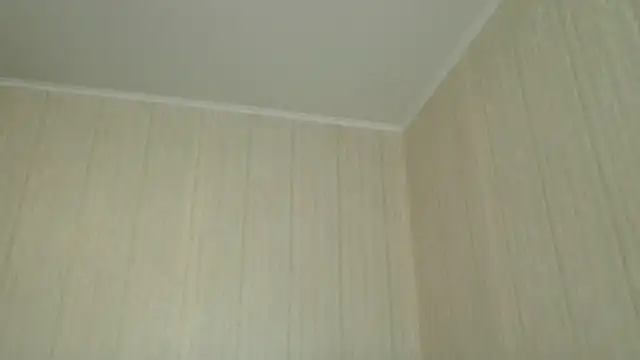 Snapshot of _Black-Panther_ chatting on May 2026 09:03:01 AM Black-Panther online show from May 2026 09:03:01 AM