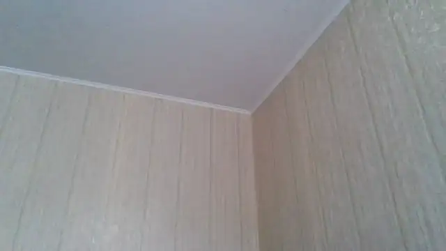 Snapshot of _Black-Panther_ chatting on May 2026 11:17:02 AM Black-Panther online show from May 2026 11:17:02 AM