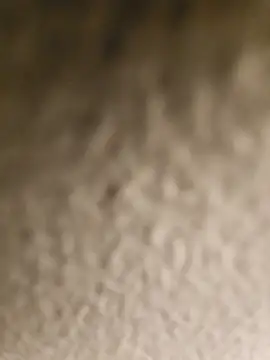 ikeike-kun online show from April 2026 02:44:02 AM