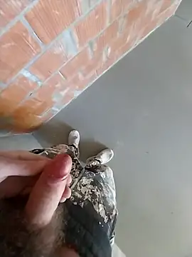 Snapshot of MaksDzubaV chatting on March 2026 11:18:01 AM MaksDzubaV online show from March 2026 11:18:01 AM