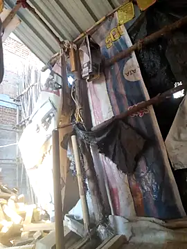 hot integer online show from February 2026 11:26:01 AM