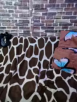 Casadaculona30 online show from March 2026 02:39:02 AM