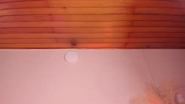 Snapshot of viol_collins__ chatting on March 2025 12:14:02 PM viol collins online show from March 2025 12:14:02 PM