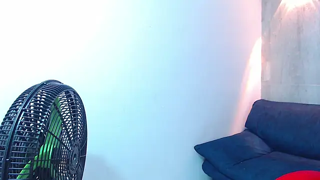 black king 241 online show from November 2025 03:41:01 AM