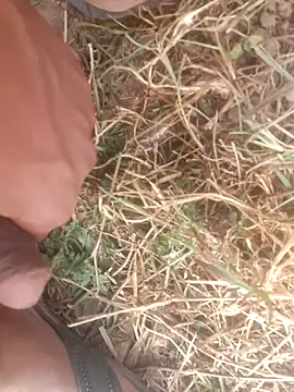 Snapshot of perplexedsoul chatting on December 2025 09:14:01 AM perplexedsoul online show from December 2025 09:14:01 AM